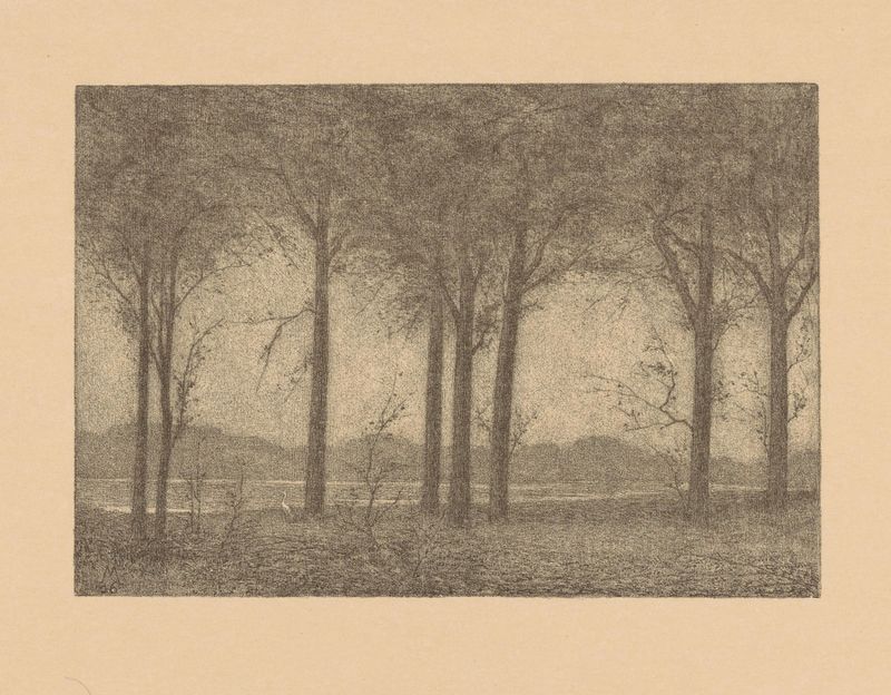Bomen aan het water, óleo sobre lienzo de Simon Moulijn, que representa árboles junto al agua con luz filtrada.