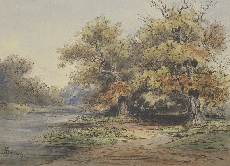 Landscape with tall trees by Hermann Baisch, medium unknown