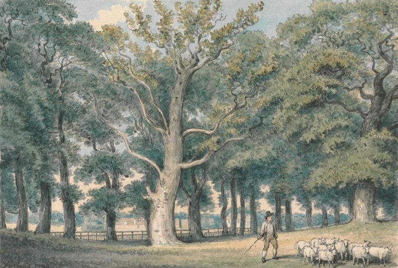 A Park Landscape with Shepherd and Sheep, oil on canvas by Samuel Howitt