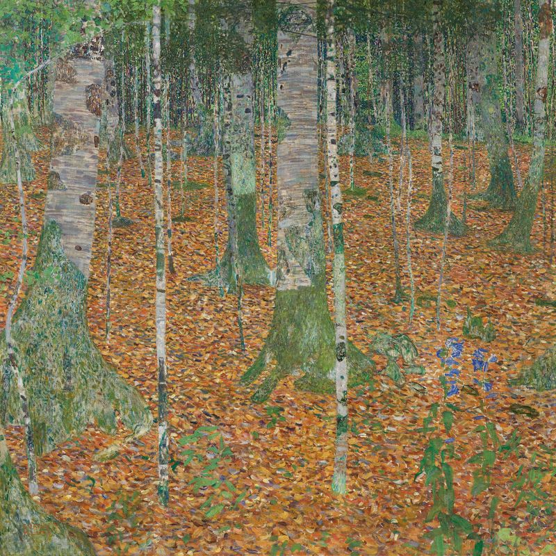Birch Forest by Gustav Klimt, oil on canvas depicting slender birch trees and golden foliage.