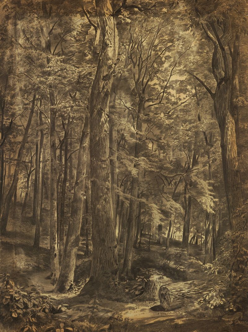 Forest landscape with light and shadow by William Trost Richards, oil painting