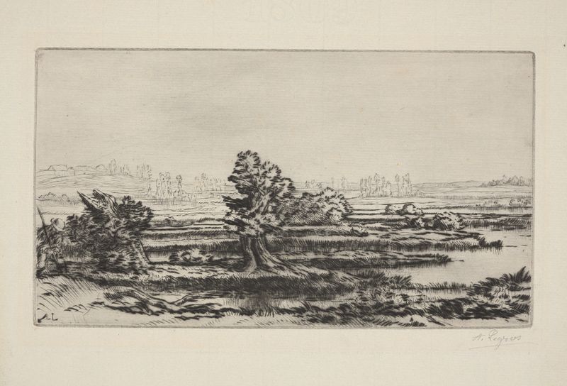 Peat-bogs de Alphonse Legros, uma paisagem com texturas e sombras ricas em um meio desconhecido.