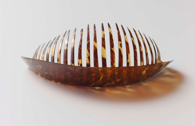 Tartaruga com casco redondo em tons terrosos, Unknown Artist, Romantismo