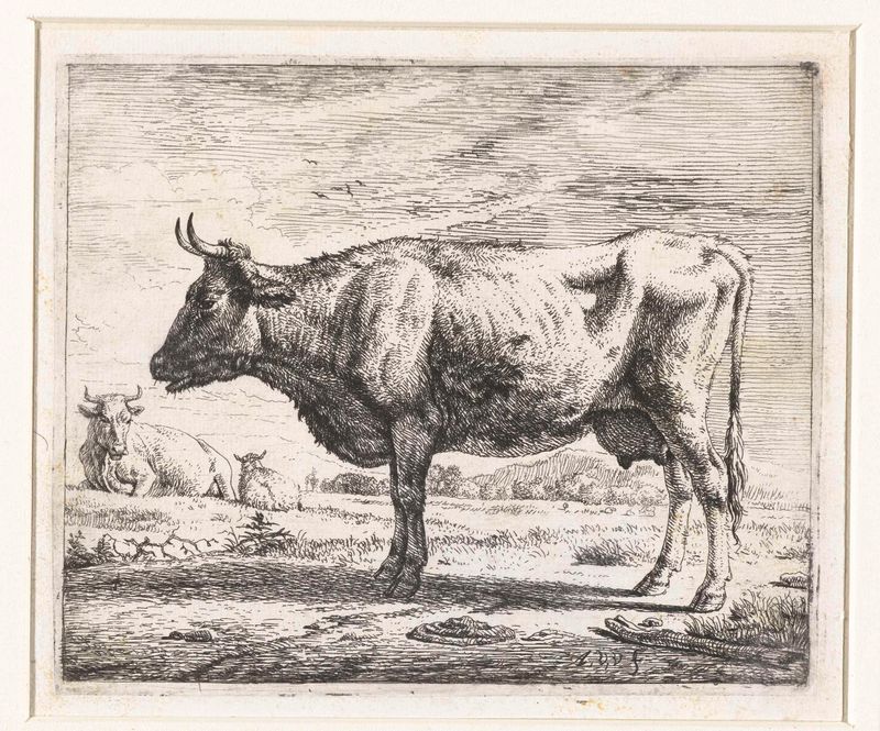 Escena pastoral con dos vacas y una oveja, grabado de Adriaen van de Velde