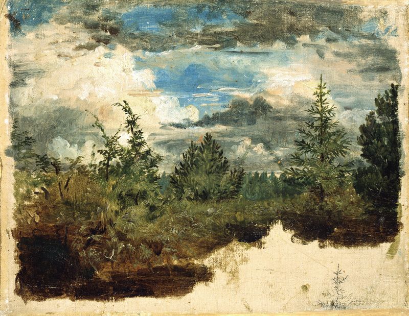 A Wooded Hillside study by Kilian Zoll, depicting a serene landscape with greenery and shadows.
