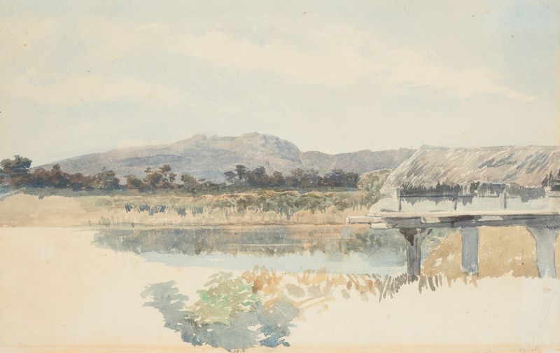 Paisaje de Mount Rochfort from the Buller, pintura al óleo de James Crowe Richmond