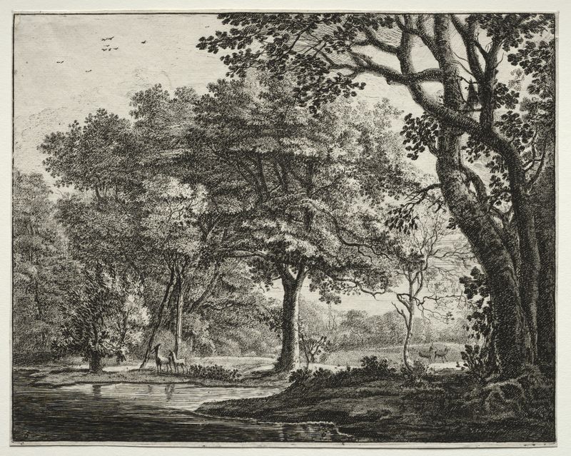 Dos Ciervos de Roelant Roghman, óleo sobre panel, representando dos ciervos en un bosque sereno.