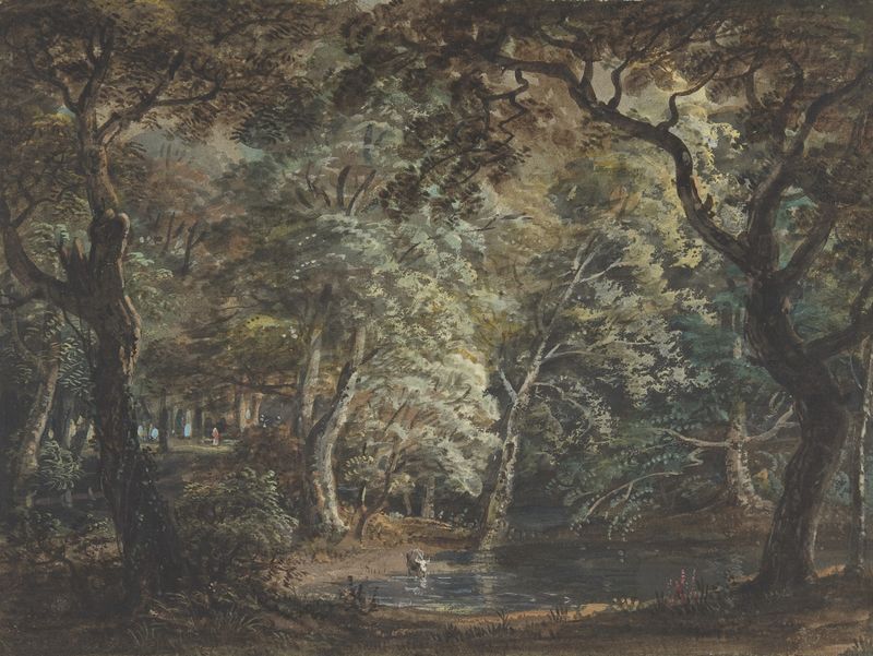 Windsor Great Park de Paul Sandby, aquarela sobre papel, retratando colinas onduladas e vegetação exuberante.