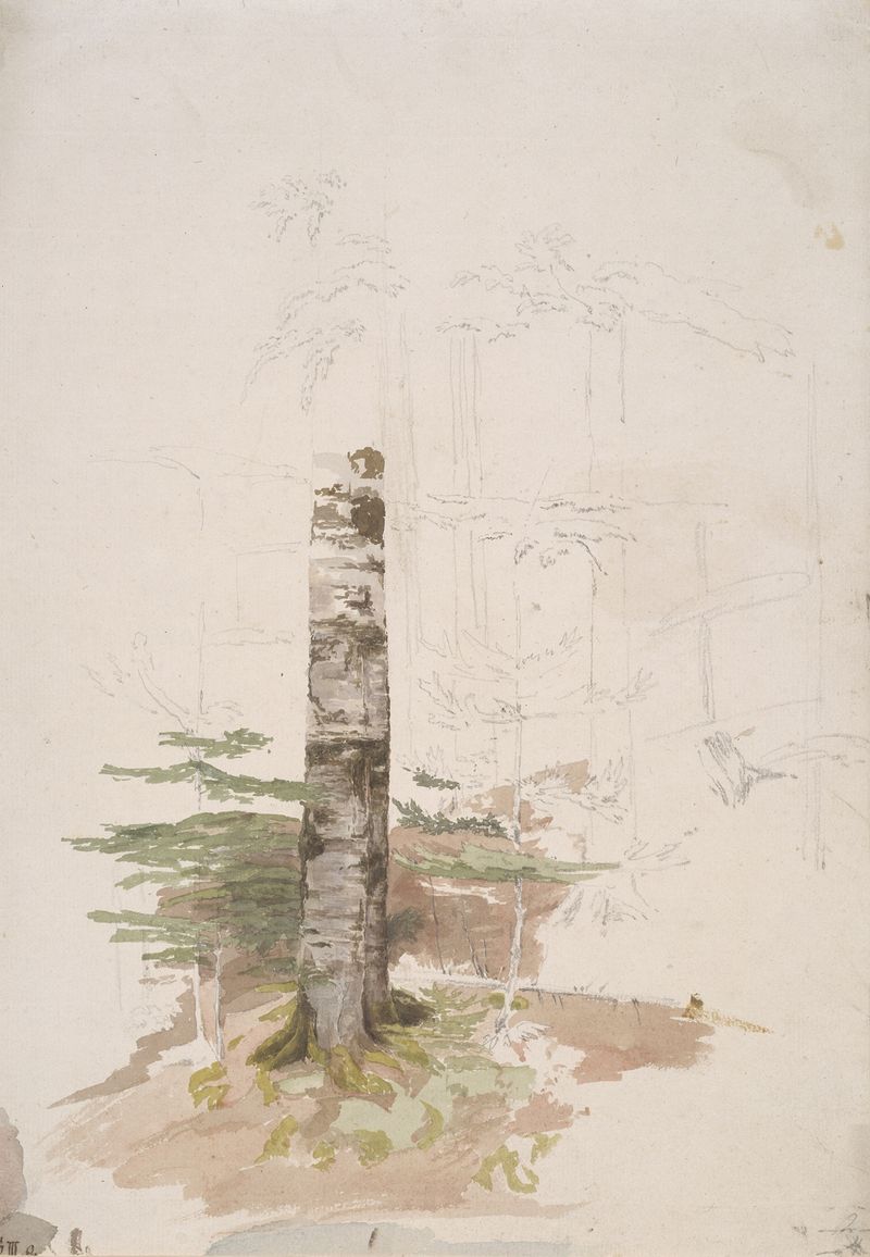 Pintura a óleo de Caspar David Friedrich retratando uma floresta serena com pinheiros.