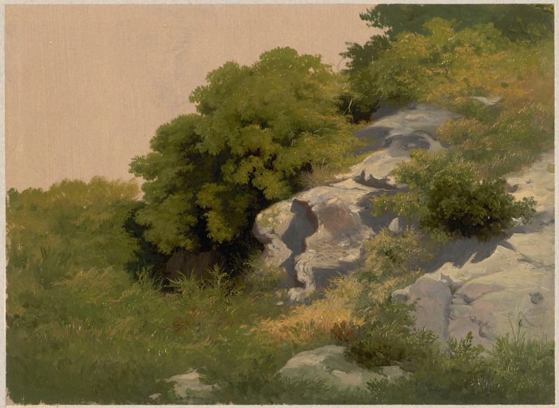 Rocas cubiertas de vegetación exuberante, pintura al óleo de Arthur Blaschnik