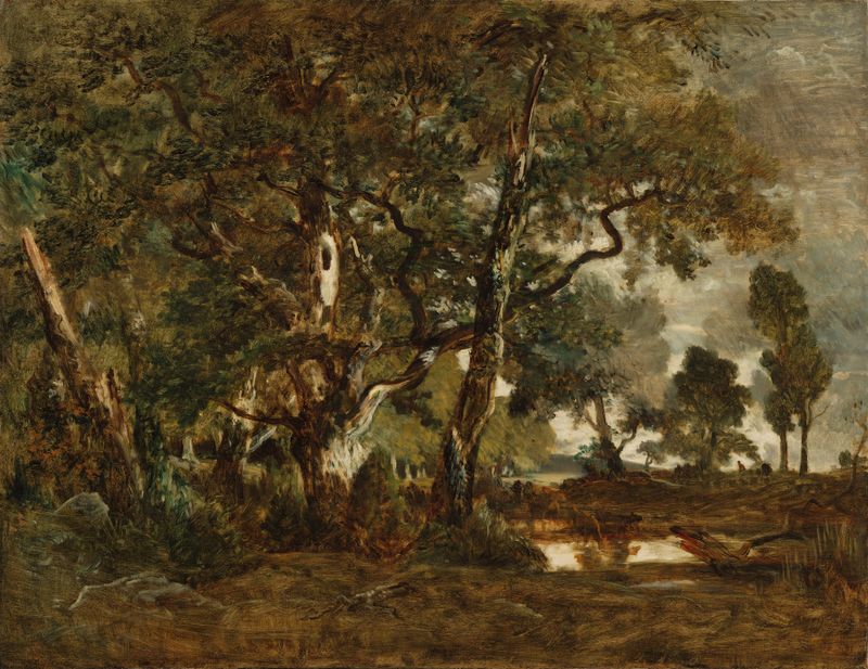 Forest of Fontainebleau by Théodore Rousseau, oil on canvas depicting tall trees and a plain.