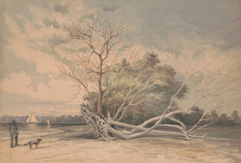 Near Timber Creek, óleo sobre lienzo de James Fuller Queen, que representa un arroyo sereno y árboles.