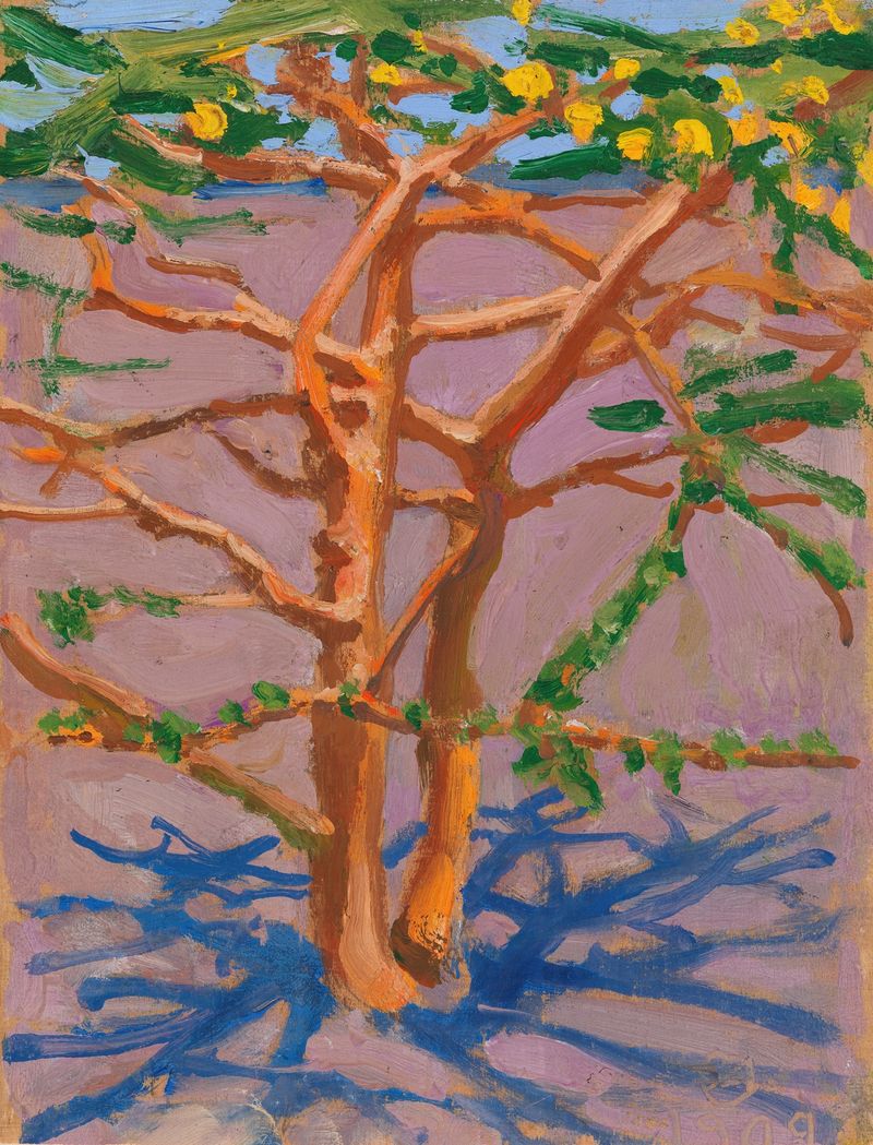 Acacia on the Savannah, pintura a óleo de Akseli Gallen-Kallela, com uma árvore de acácia solitária em uma savana dourada.