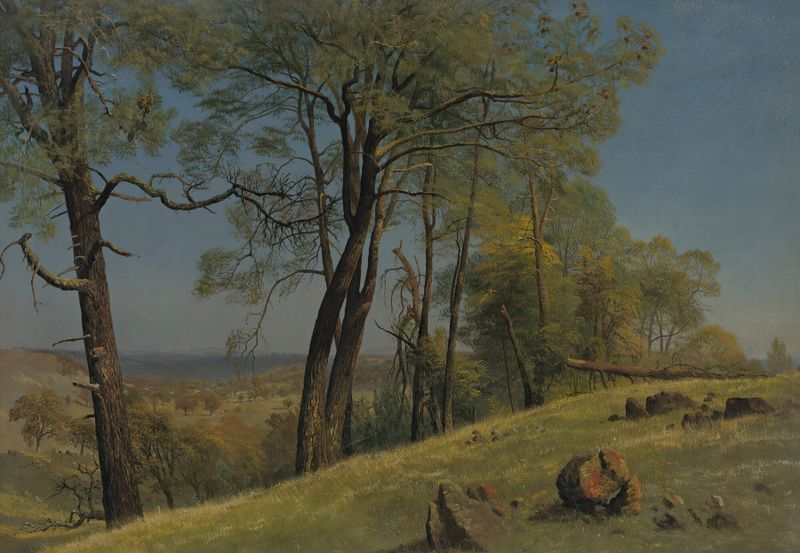 Rockland County, California de Albert Bierstadt, óleo sobre lienzo con montañas y un cielo vibrante.