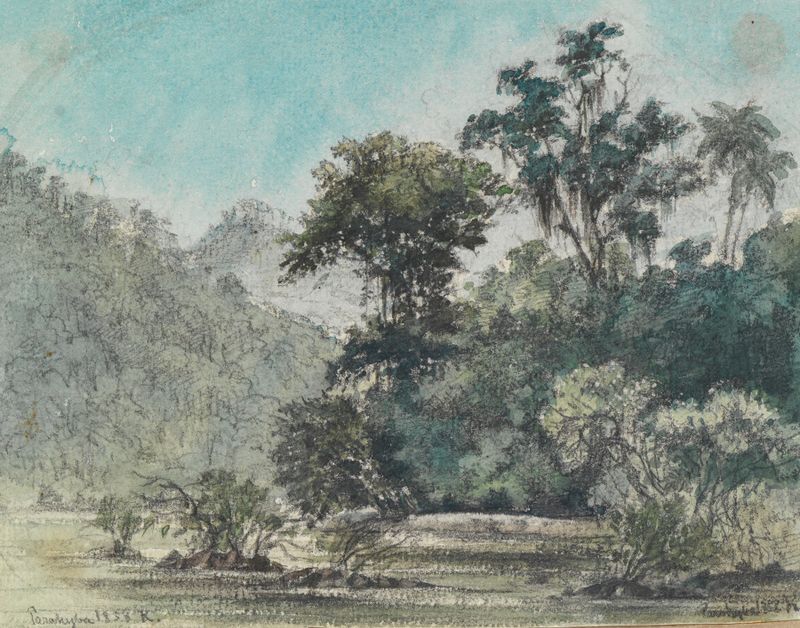 Blick auf das bewaldete Flussufer, oil on canvas by Ferdinand Keller, depicting a serene river and forest.