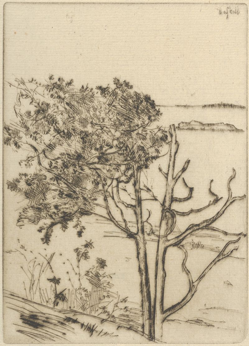 Ragged Tree – Maine by Ernest Haskell, depicting a twisted tree trunk, medium unknown.