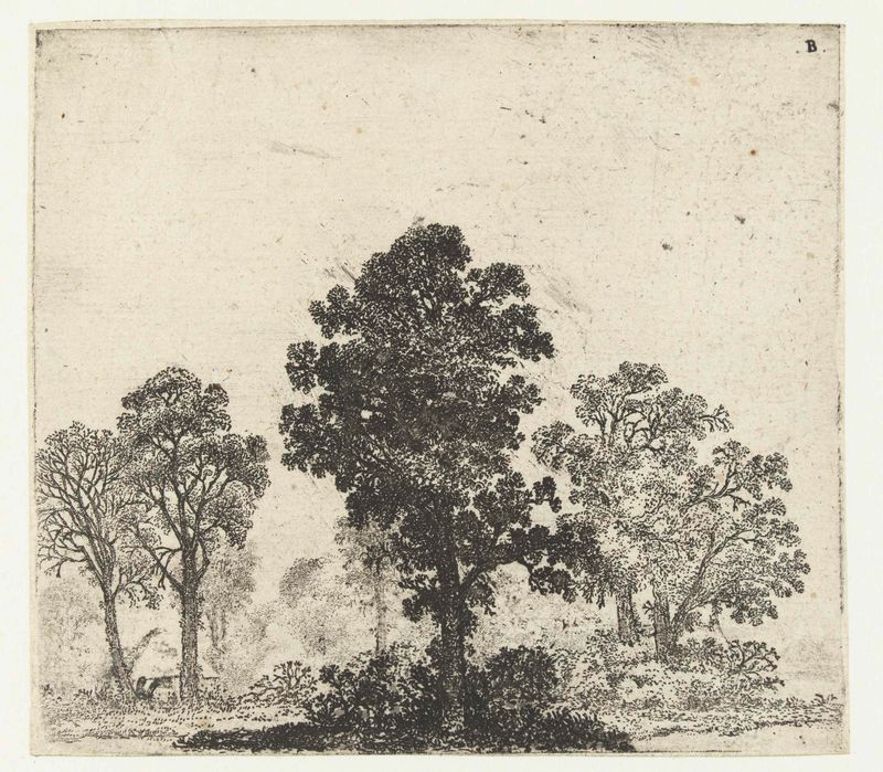 Landschap met boom in het midden, etching by Jan van Brosterhuyzen, featuring a tree in a vast landscape.