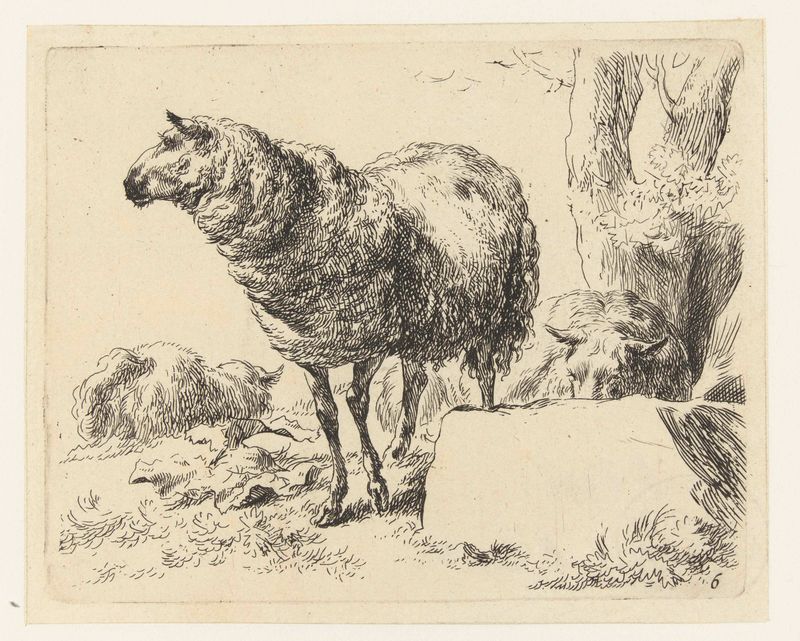 Tres ovejas en un paisaje pastoral, grabado de Nicolaes Pietersz Berchem