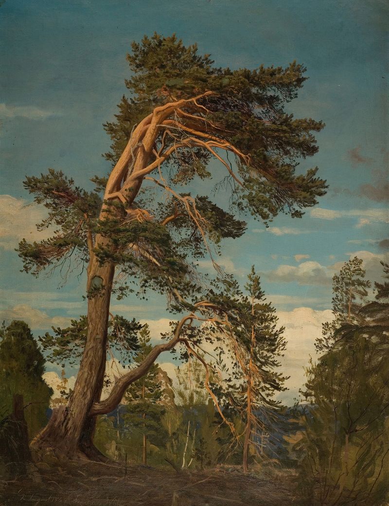 Paisaje con un pino en luz dorada de Amaldus Nielsen, pintura al óleo