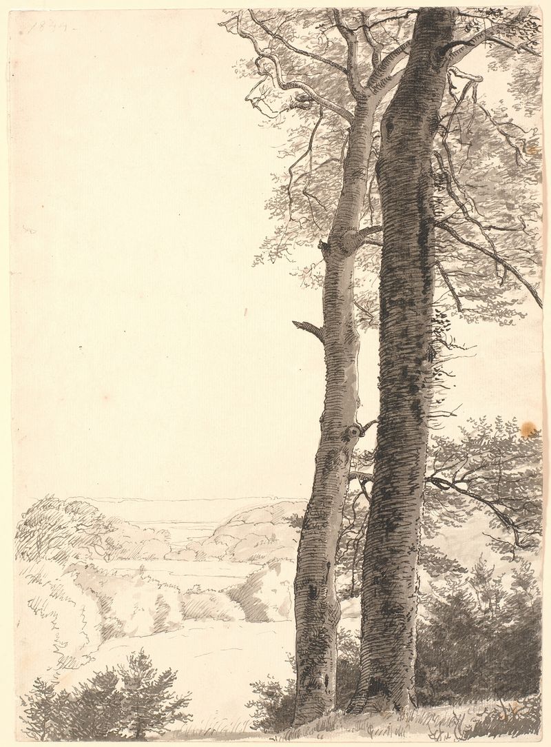 Landskab ved Skarritsø med to høje træer, oil on canvas by P. C. Skovgaard