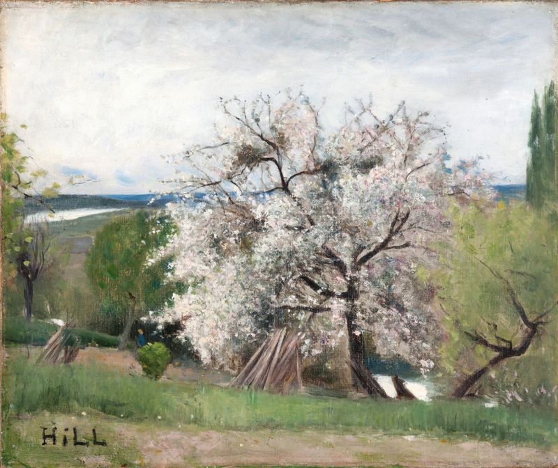 Fruit Tree in Blossom, an oil painting by Carl Fredrik Hill depicting white and pink blossoms