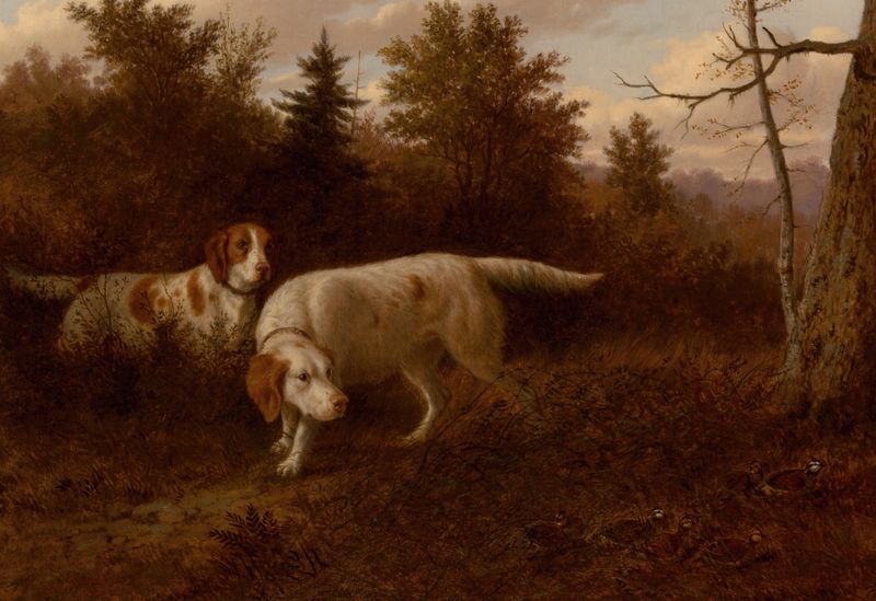 Setters and Quail, óleo sobre tela de Thomas Hewes Hinckley, retratando setters em um campo iluminado pelo sol.