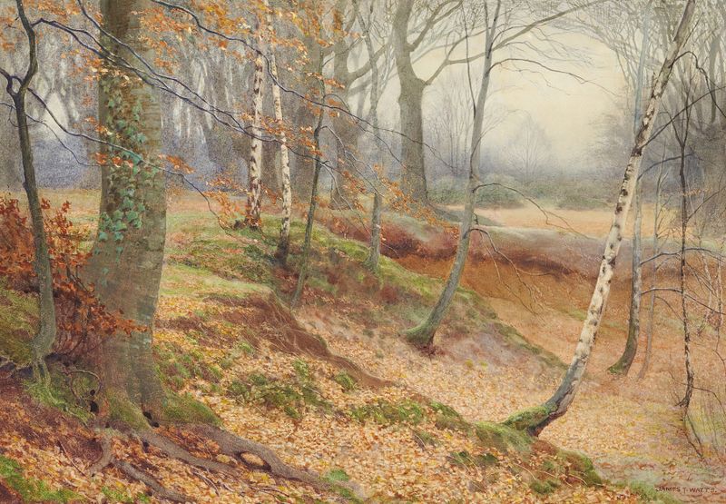 Silver Birch and Beech Wood in Autumn, óleo sobre lienzo de James Thomas Watts