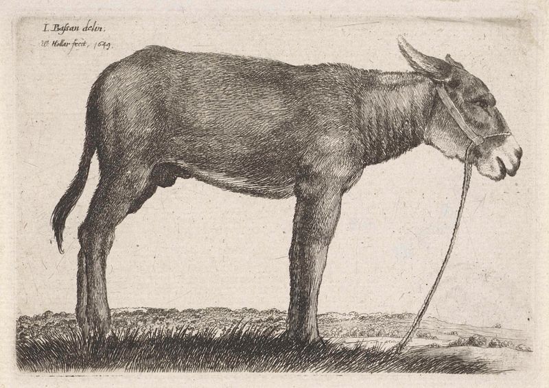 Ezel de Wenceslaus Hollar, gravura que retrata figuras etéreas em uma névoa onírica.