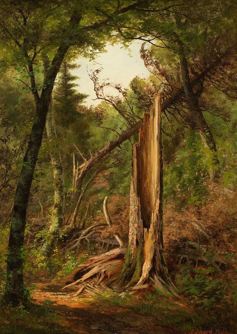 Woodland Interior de Edward Hill, óleo sobre lienzo que representa un bosque tranquilo con árboles y luz solar.