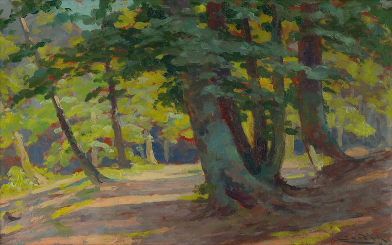 Forest landscape by Ľudovít Čordák, featuring intricate shadows and light.