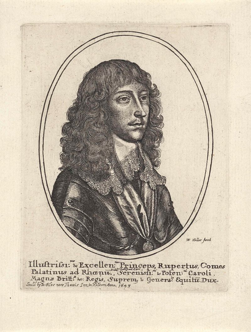 Retrato do Príncipe Ruprecht do Palatinado, gravura de Wenceslaus Hollar