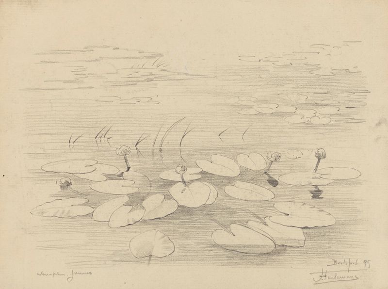 Nénuphars jaunes à Boitsfort de Jean-François Taelemans, óleo sobre lienzo con nenúfares amarillos.