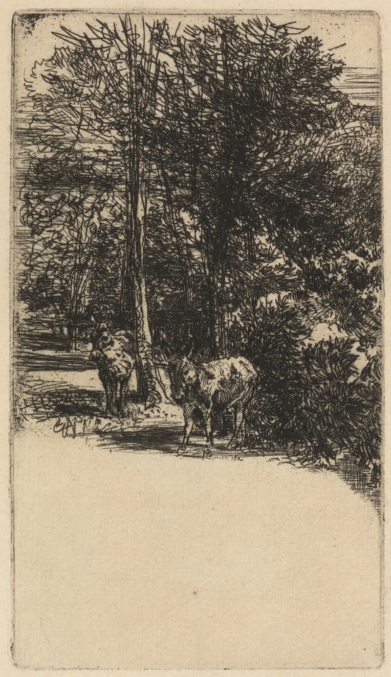 Gravura de Francis Seymour Haden mostrando dois asnos à luz da tarde