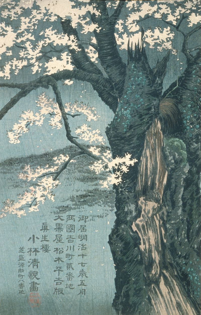 Guerreiro Taira no Tadanori descansando sob uma cerejeira, tinta sobre seda de Kobayashi Kiyochika