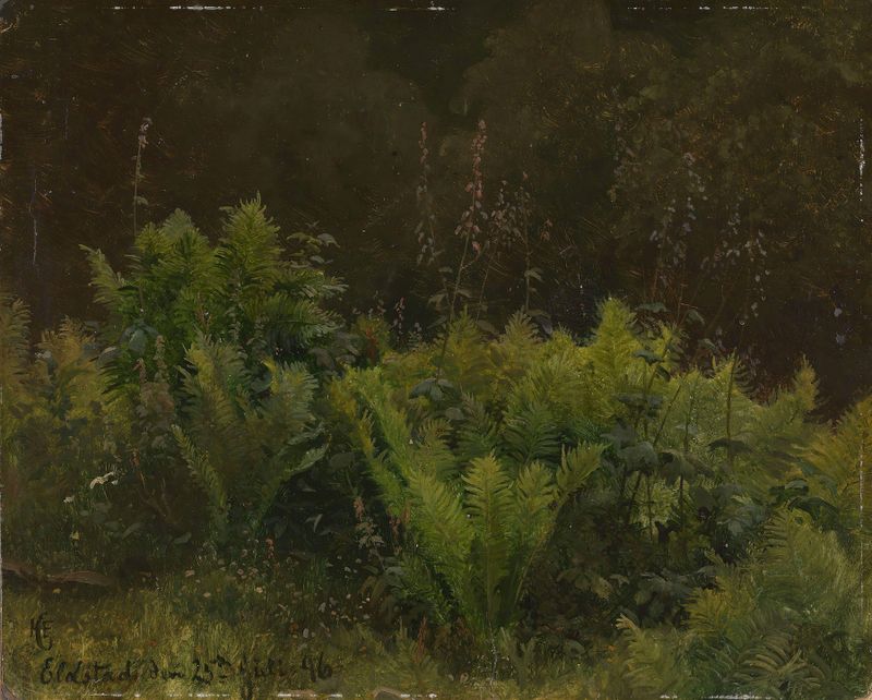 Estudo de Samambaias de Hans Gude, pintura a óleo que retrata samambaias intrincadas e vegetação exuberante.