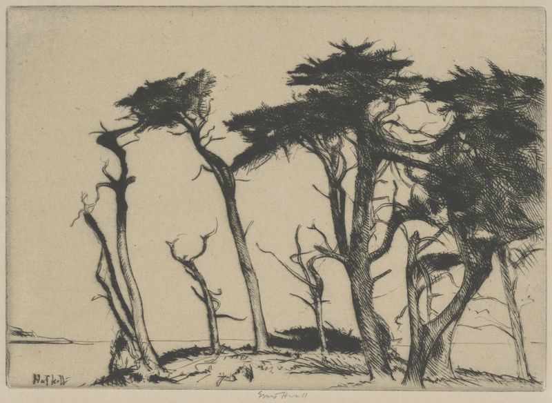 Aquarela de Ernest Haskell mostrando ciprestes e um céu azul pálido.