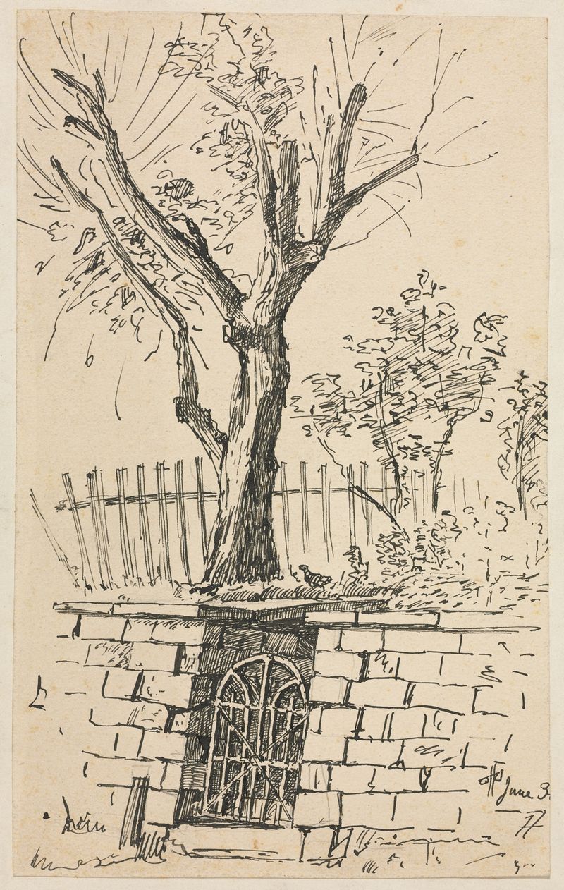 Acuarela de Otto Henry Bacher que representa un árbol en un muro de piedra