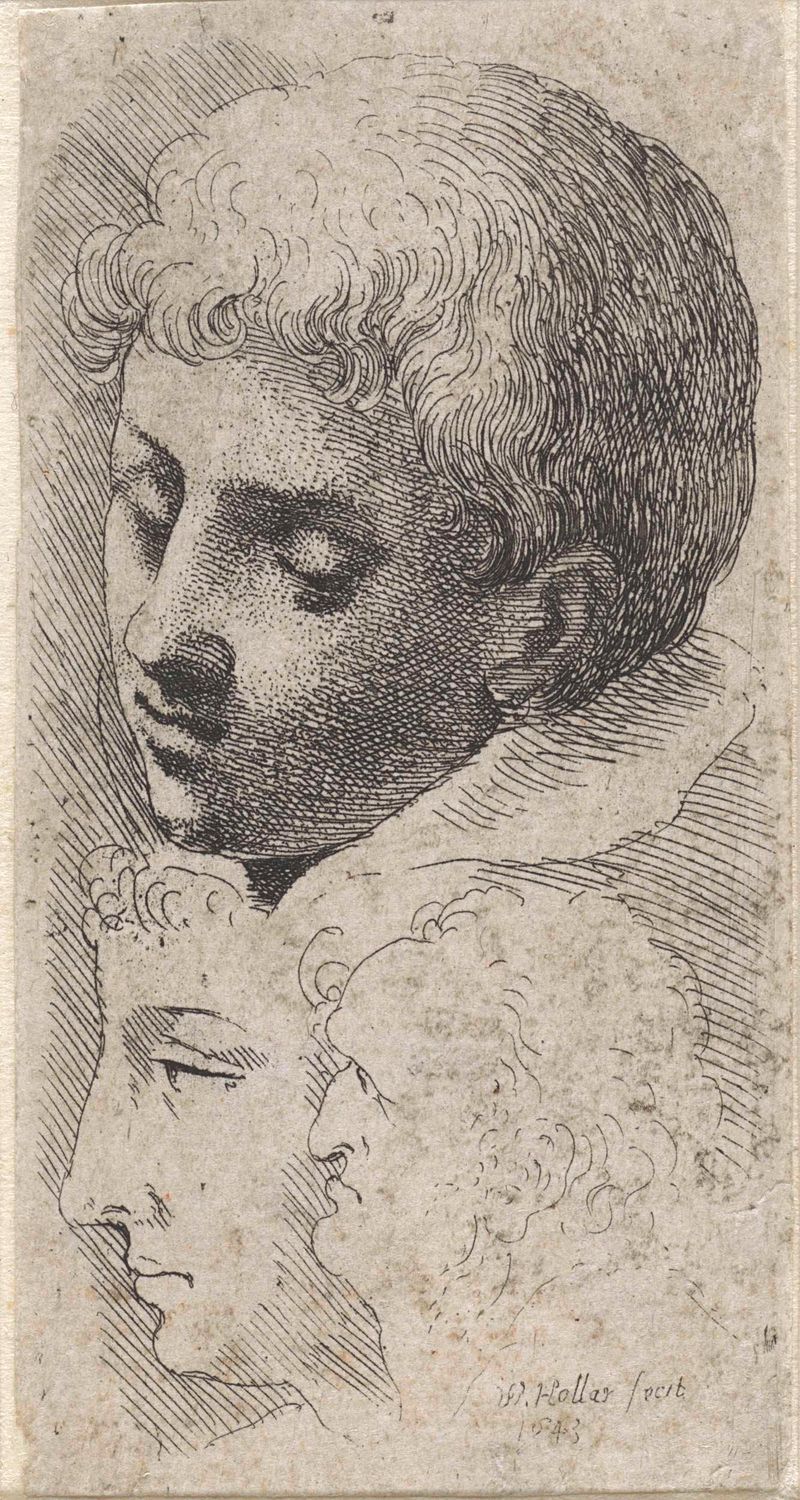 Gravura de Wenceslaus Hollar mostrando a cabeça de um menino e dois perfis masculinos