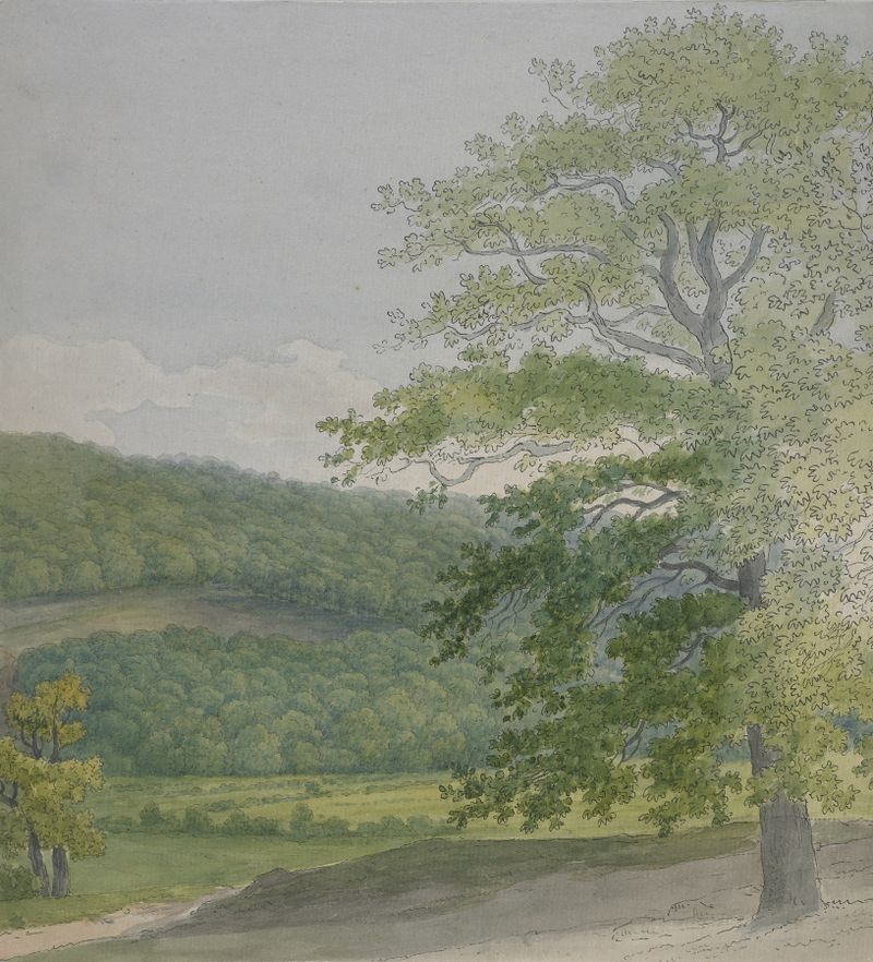 Wooded landscape by John White Abbott, oil on canvas depicting a serene forest scene.
