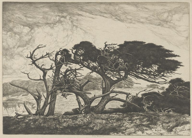 El Torro de Ernest Haskell, uma pintura a óleo expressionista que retrata um touro em luz e sombra dramáticas.