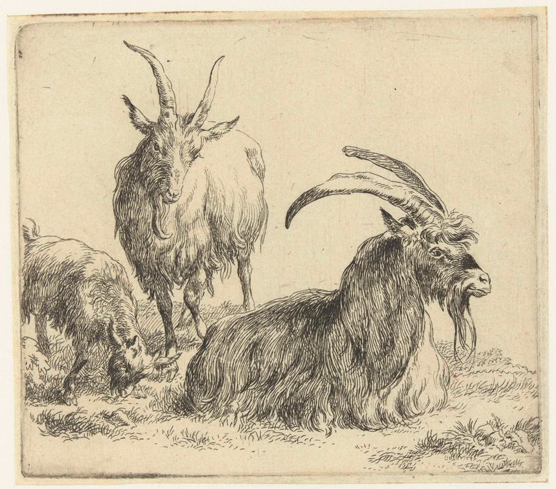 Gravura de Nicolaes Pietersz Berchem de uma cabra reclinada e um cabrito.