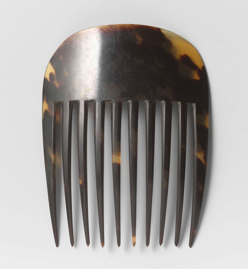 Casco de tartaruga em tons terrosos, estilo realismo de Unknown Artist