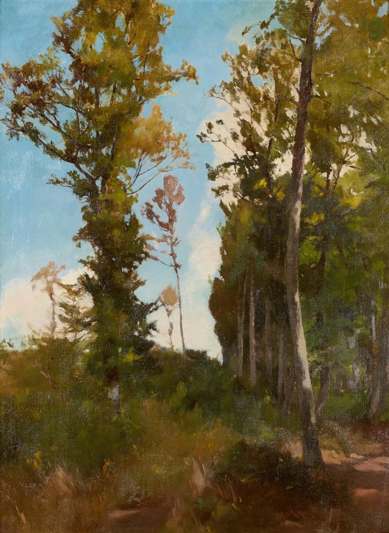 Forest landscape with dappled sunlight, oil on canvas by Carl Schuch