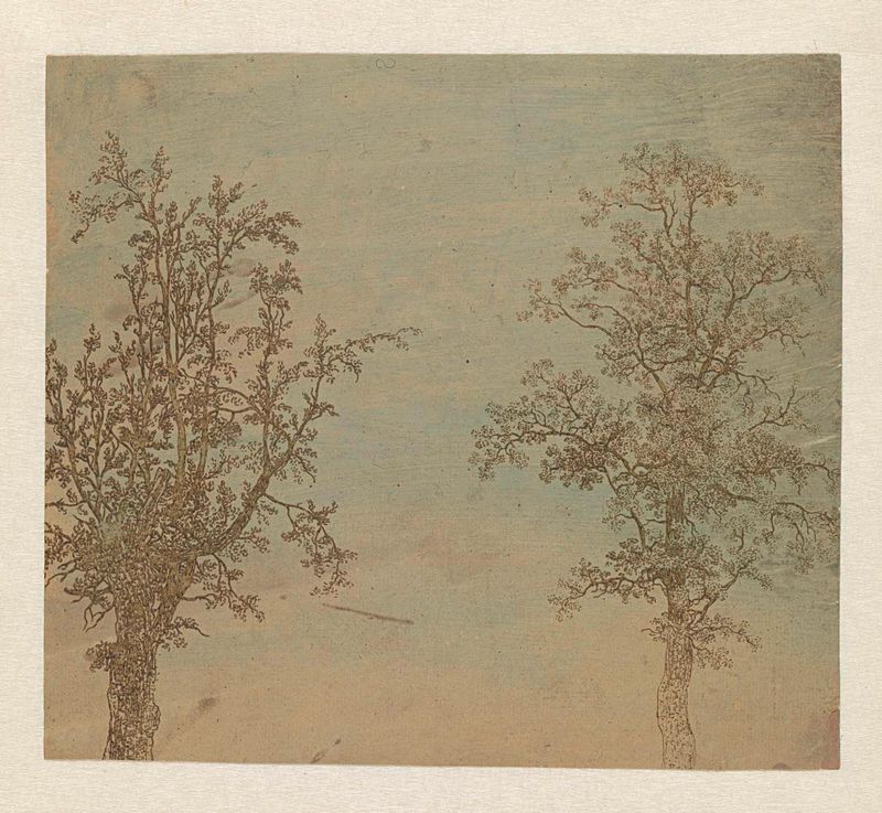 Grabado de dos árboles, un aliso y un fresno, de Hercules Segers