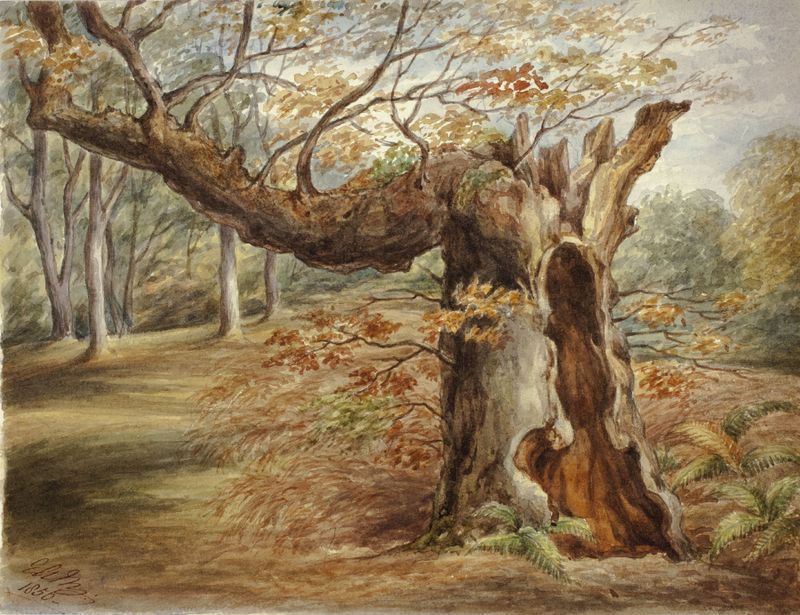Rotting Tree de Elizabeth Murray, acrílico sobre lienzo que representa un árbol retorcido que simboliza la decadencia y la...
