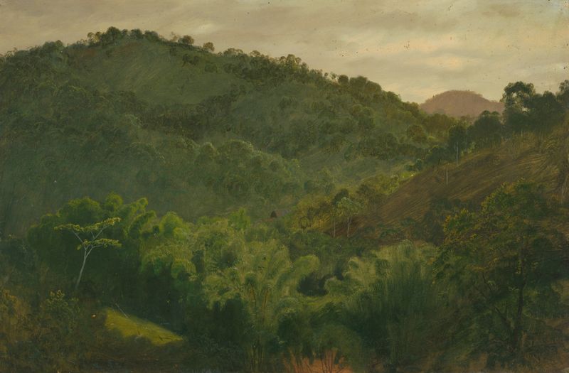 Landscape from Jamaica, West Indies de Frederic Edwin Church, óleo sobre lienzo que muestra luz solar a través de árboles ...
