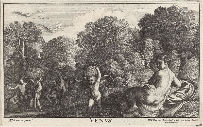 Grabado de Wenceslaus Hollar que representa a Venus, una figura desnuda elegante con drapeado fluido.