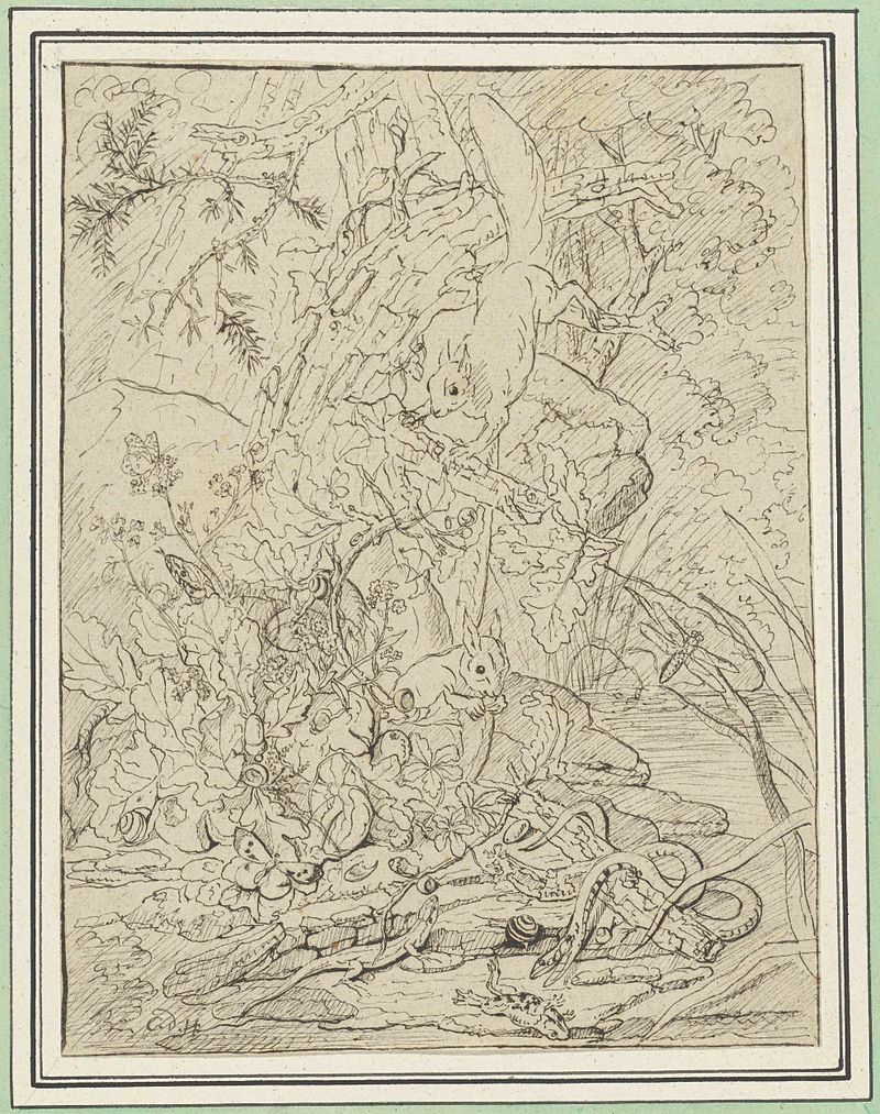 Escena animal con ardillas, serpientes y anfibios de Carl Wilhelm de Hamilton