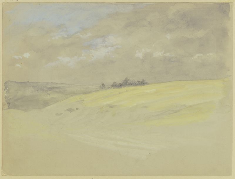 Hilly landscape by Wilhelm Amandus Beer, oil painting depicting rolling hills and a green meadow.