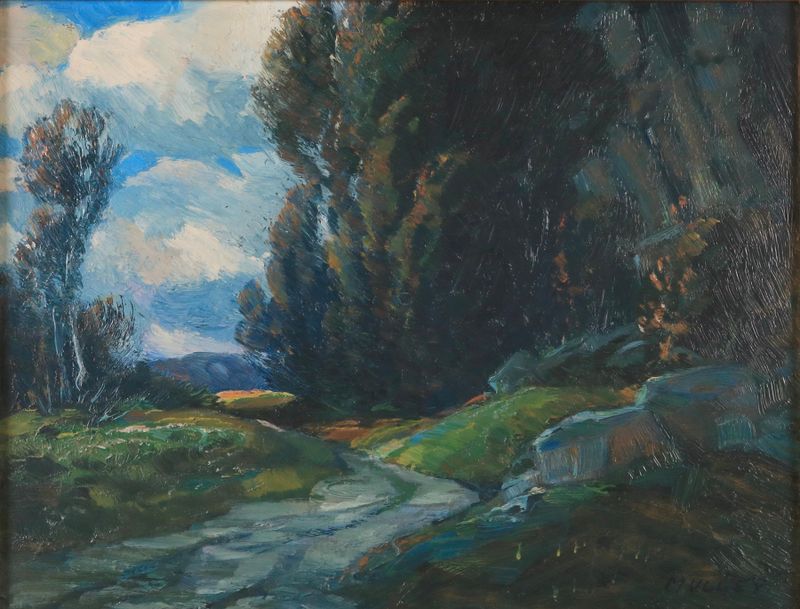 Landscape featuring a narrow path and foliage by Oskar Mulley